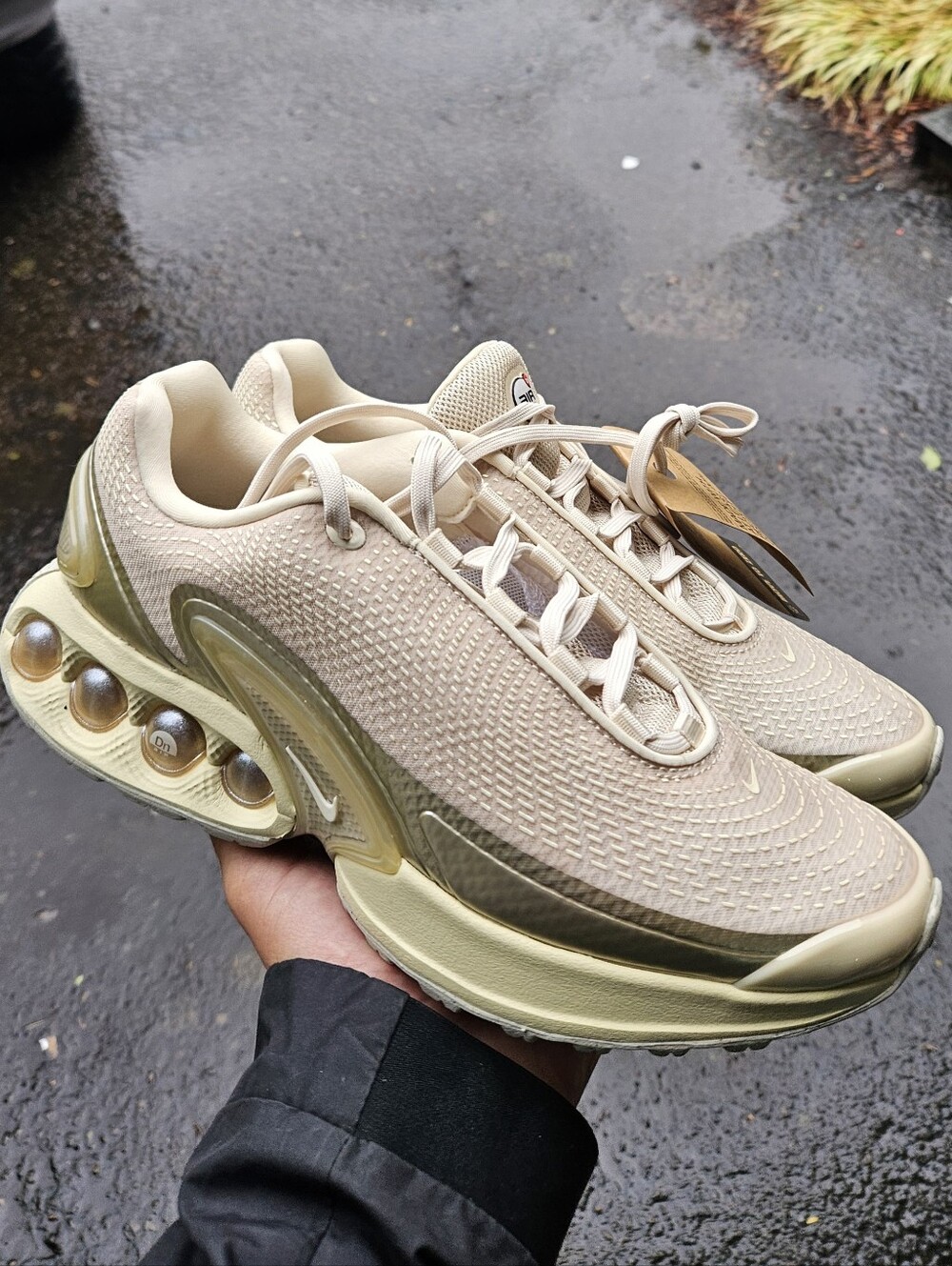 New Women's Nike Air Max DN